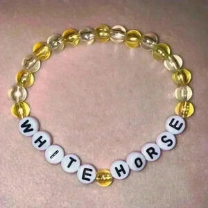Taylor Swift Eras Tour Friendship Bracelet